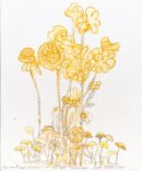 We Are Mushrooms in Yellow — Sergo Tbileli — 2025 — Canvas, Mix Media