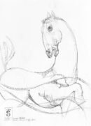 Horse in stride — Sergo Tbileli — 2026 — Paper, Pencil