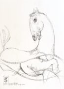 Horse (Copy) — Sergo Tbileli — 2026 — Paper, Pencil